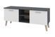 Тумба для TV Maximo (120х40х47 см, антрацит + белый) ph-tmb-rg-ntc-bl фото